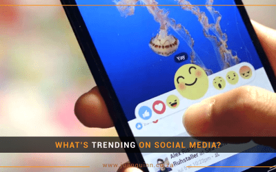 WHAT’S TRENDING ON SOCIAL MEDIA?